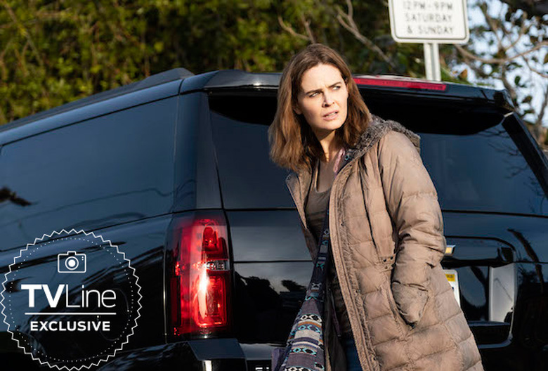 animal-kingdom-season-4-spoilers photos emily deschanel