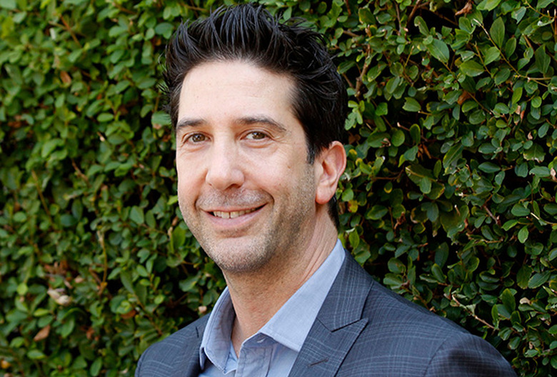 Friends David Schwimmer Interview