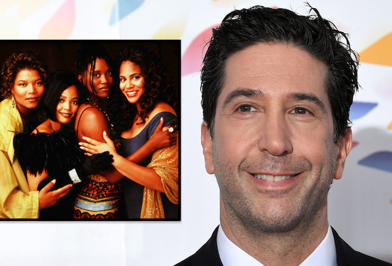 David Schwimmer Friends Living Single Apology