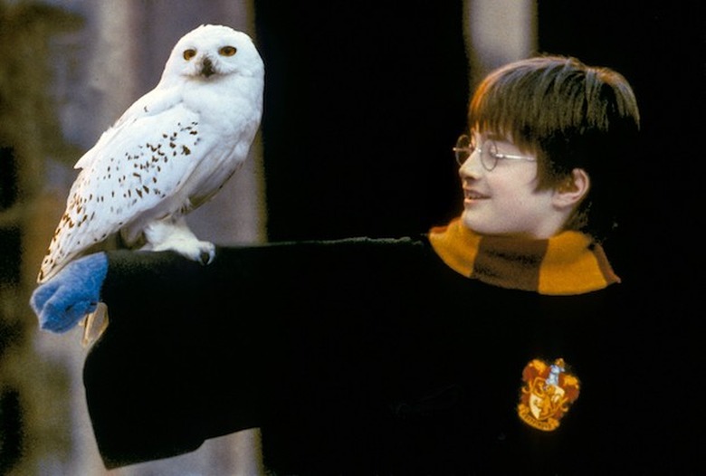 harry-potter-reunion-special-photo-hbo-max