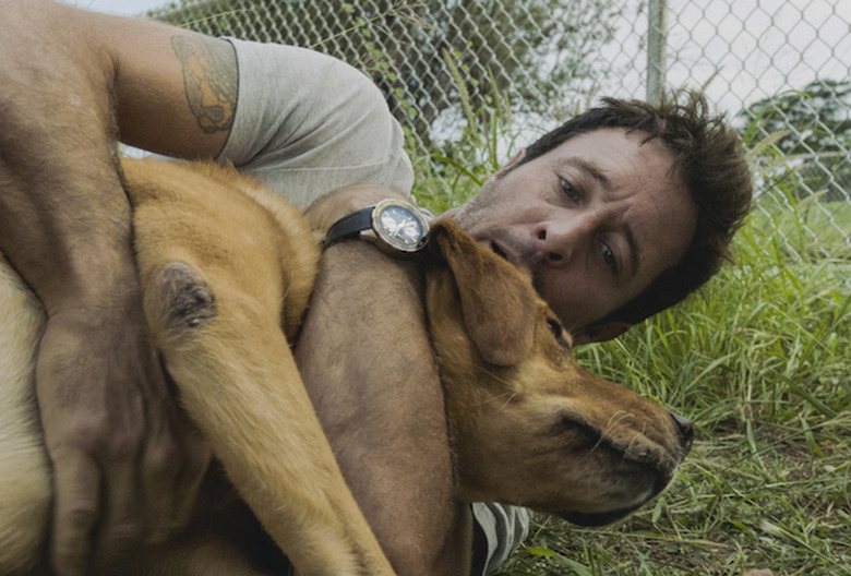 Hawaii Five-0 Steve Eddie