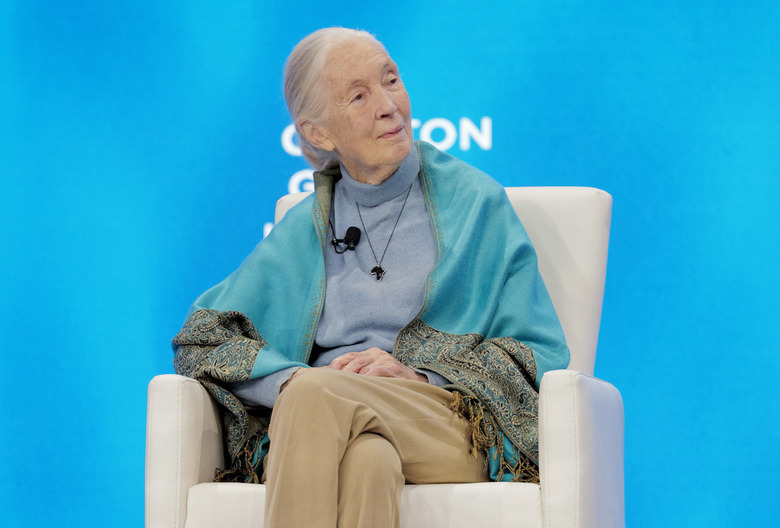 Jane Goodall