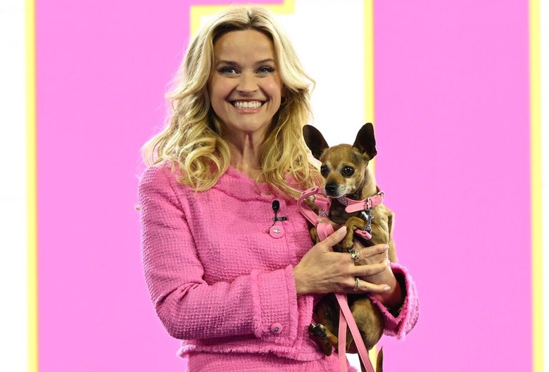 Reese Witherspoon 'Legally Blonde' Amazon Prime Video Series