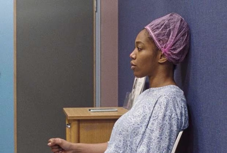 Master of None Essay