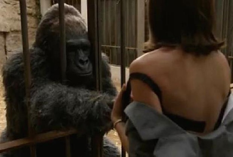 MastersOfSex_Ape