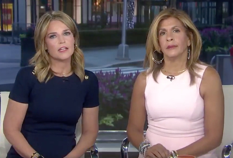 Matt Lauer Rape Allegation — Today Show Statement (Video)