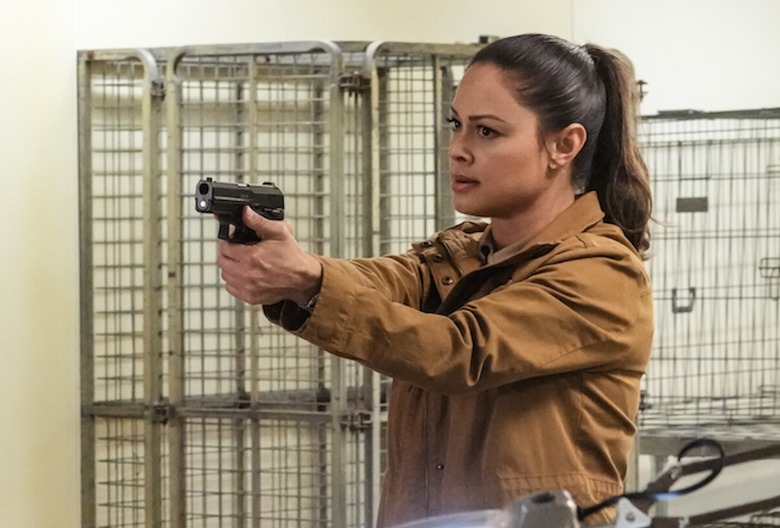 NCIS: Hawai'i series finale cbs