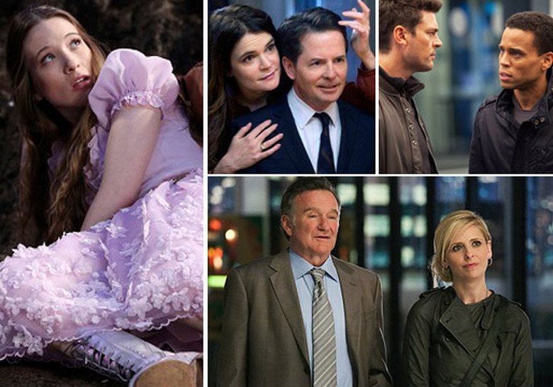 New TV Shows 2013