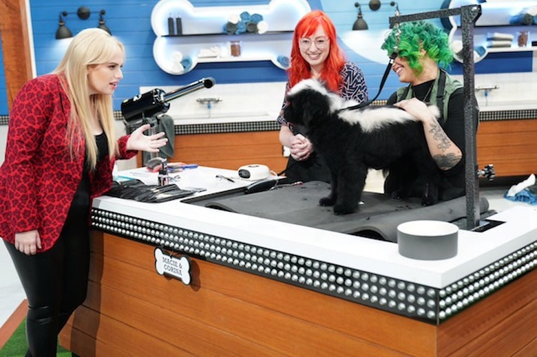 Pooch Perfect Cancelled