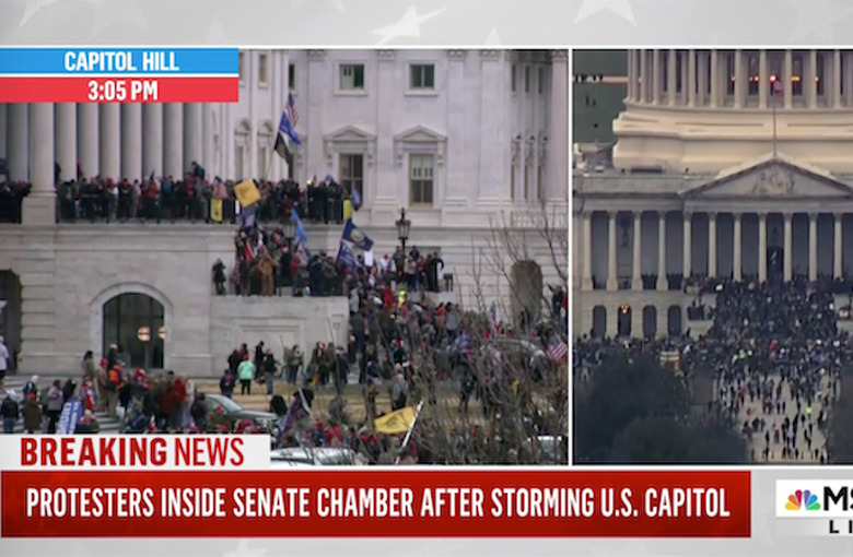 United States Coup MAGA Protesrers