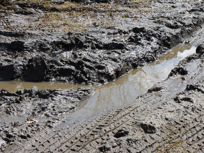 Second Presidential Debate Winners Losers Donald Trump Hillary Clinton