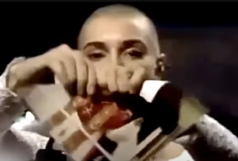 Sinead O'Connor Dead SNL Pope Ripping Photo