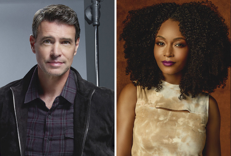 Big Leap Renewed Cancelled