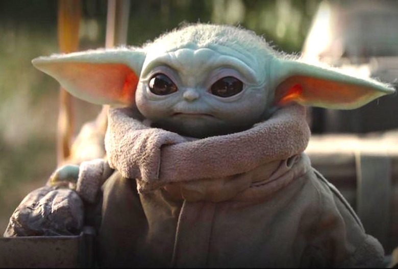 the-mandalorian-baby-yoda-the-child-identity-species-disney-plus