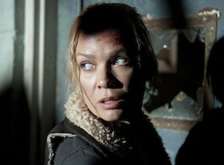 The Walking Dead College Course