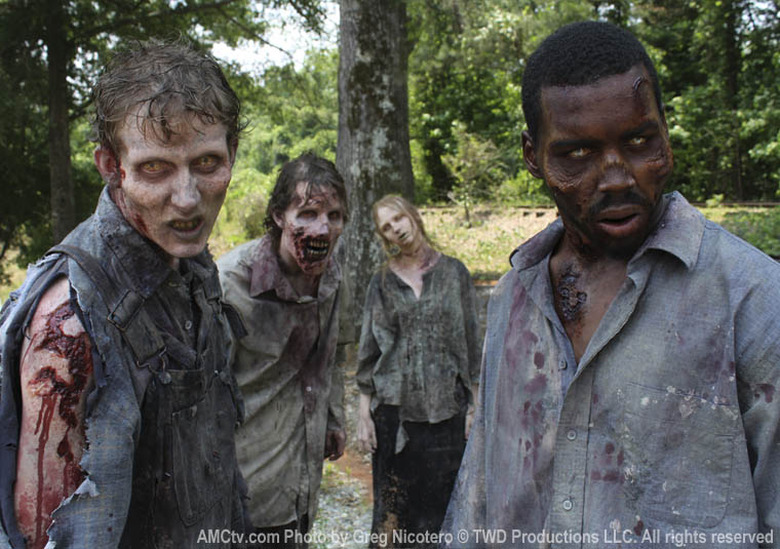 The Walking Dead Spinoff
