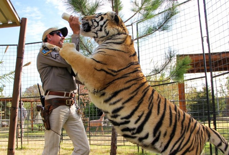 Tiger King New Episode Joe Exotic