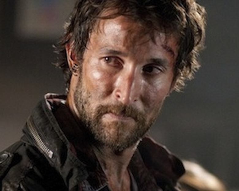 FALLINGSKIEStom_300