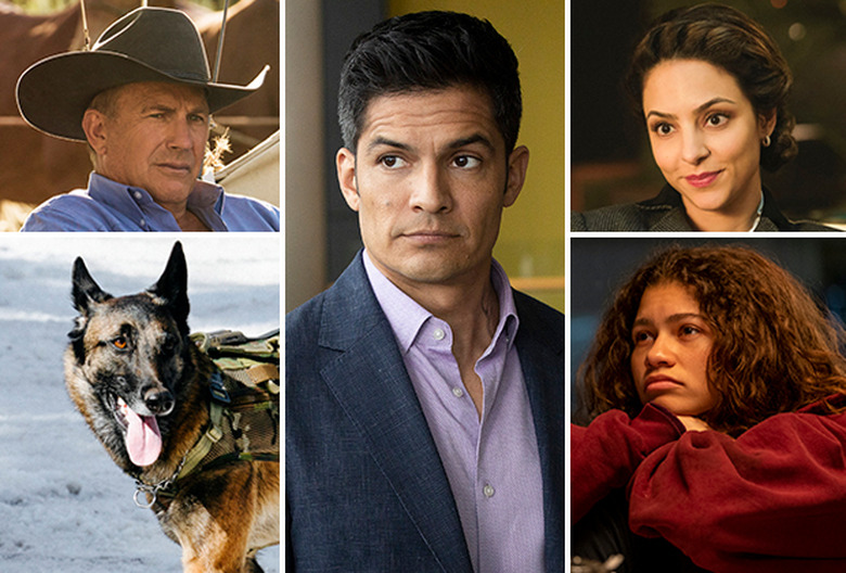 Best and Worst TV 2020