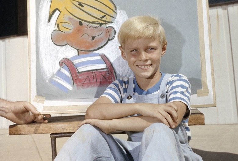 Jay North Dead: Cause of Death for Dennis the Menace Star