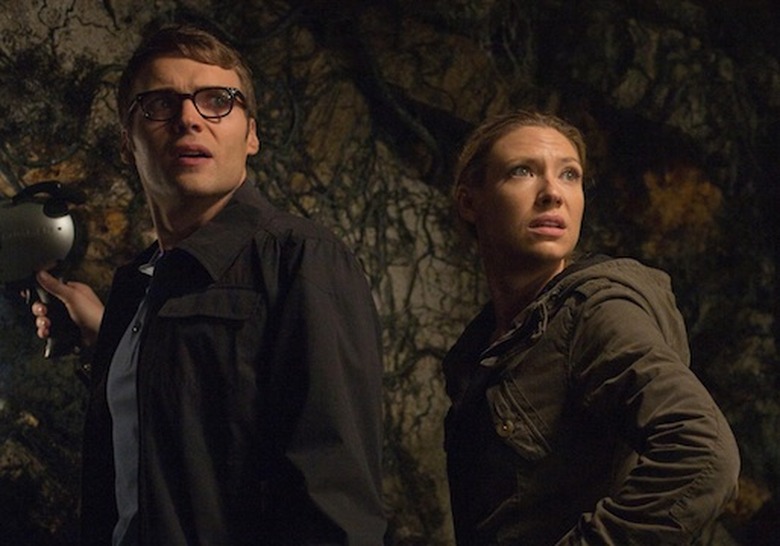 FRINGElincolnolivia_DW