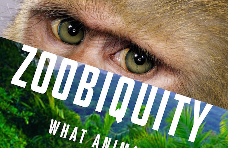 Zoobiquity Pilot