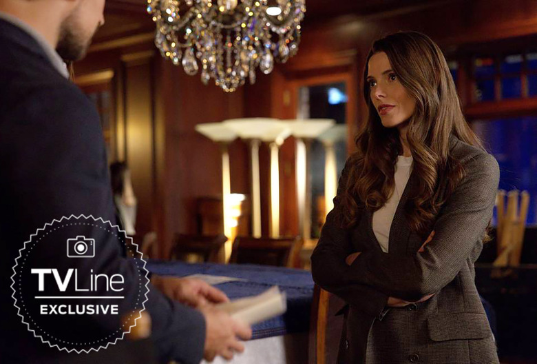 Twilight's Ashley Greene On 'Wild Cards'