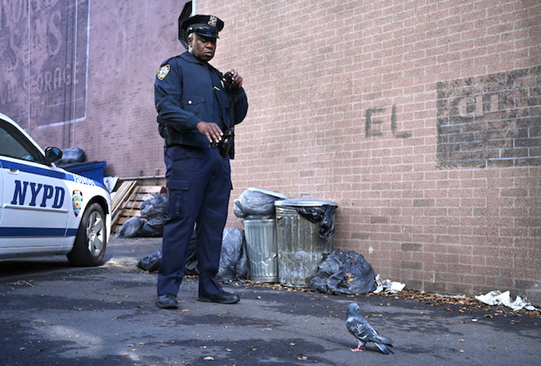 'Brooklyn Nine-Nine' Season 7 - Captain Holt