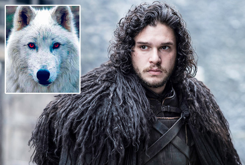game of thrones season 8 ghost direwolf jon hbo