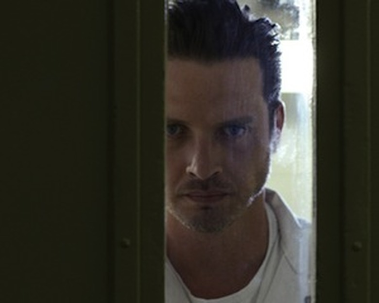 Rectify_AdenYoung