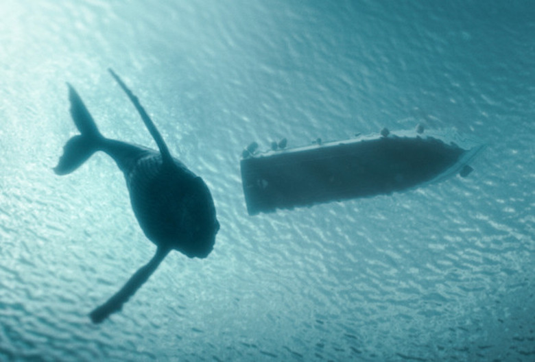 The Swarm CW Series