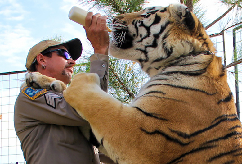 Tiger King Ratings 34 Million