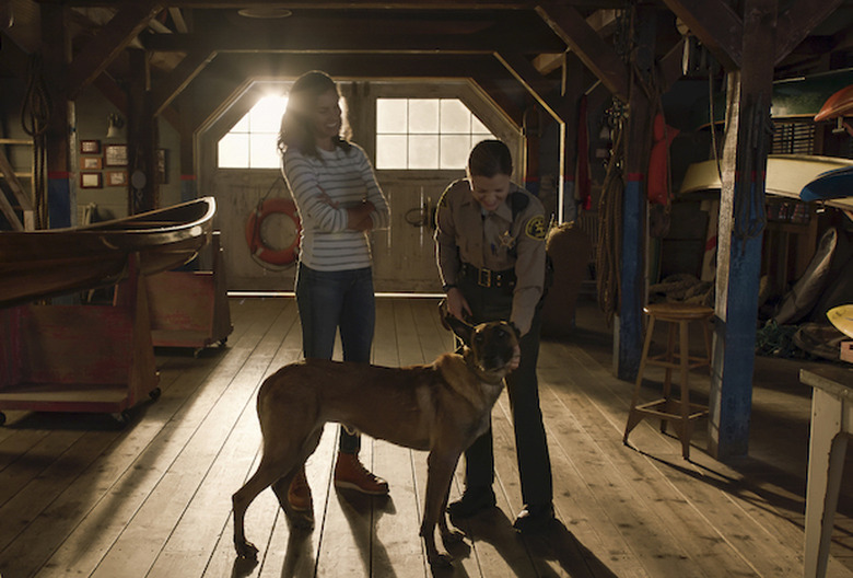 NCIS Los Angeles MWD