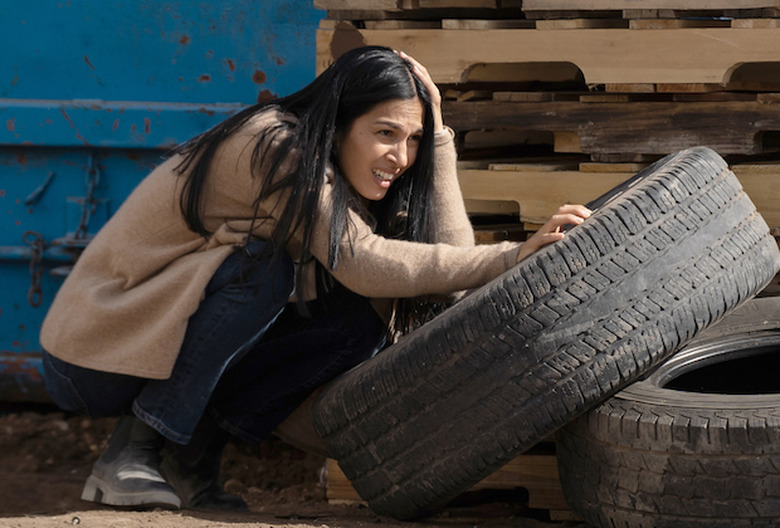 Cleaning Lady Renewed Cancelled