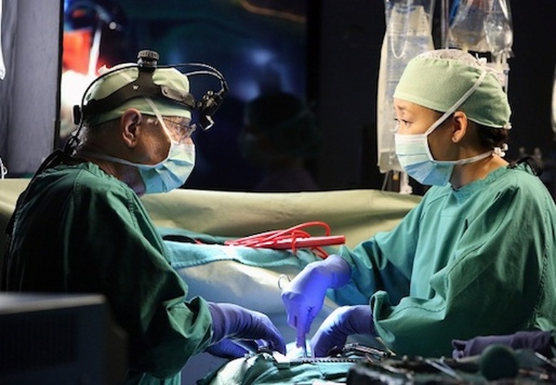 WILLIAM DANIELS, SANDRA OH