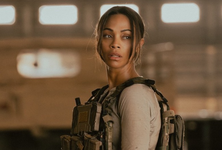 Lioness Renewed 