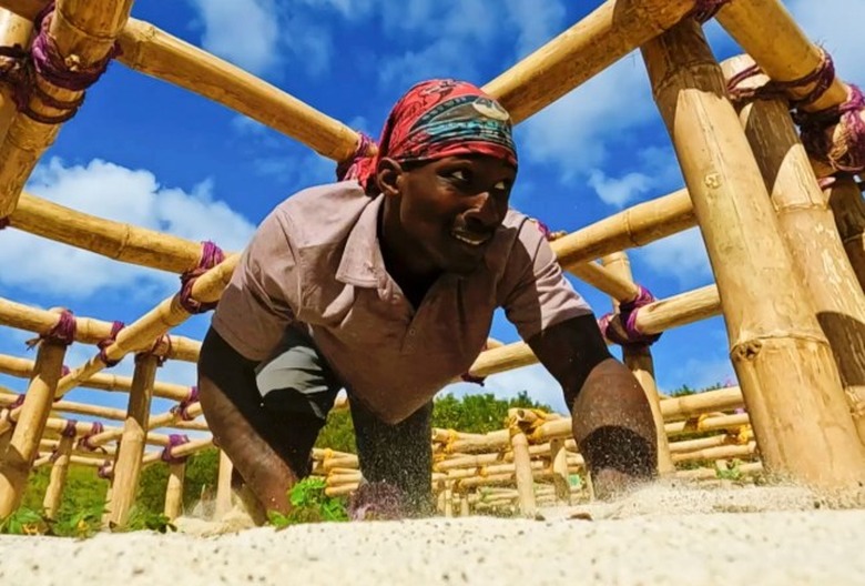 Survivor recap Episode 12