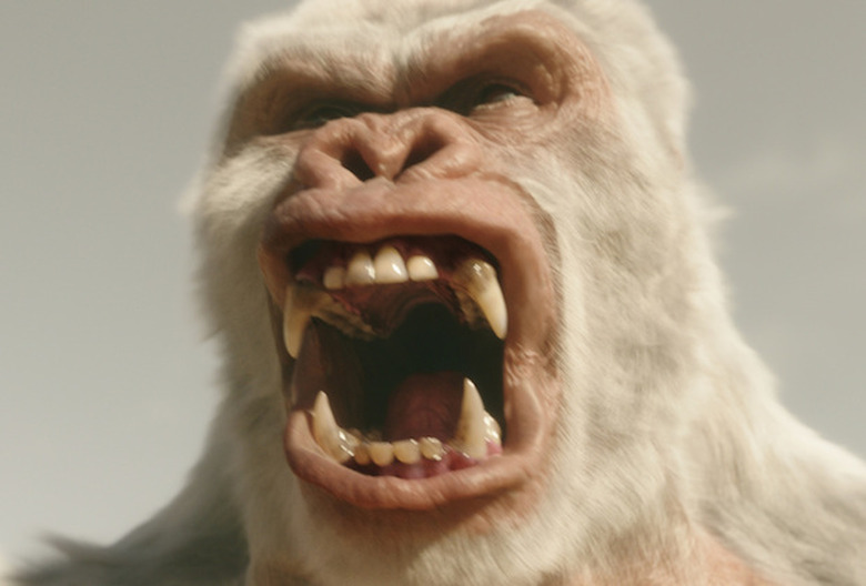 Flash Recap Gorilla City Solovar