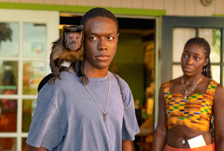Bad Monkey Apple TV Plus
