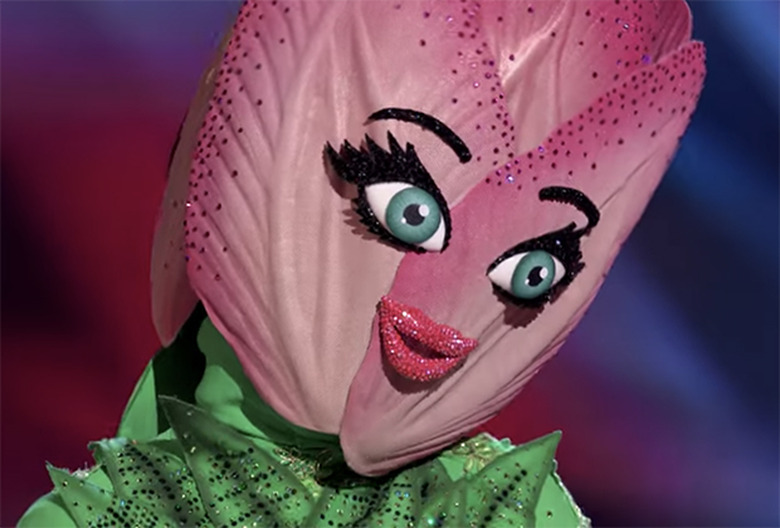 The Masked Dancer Fox