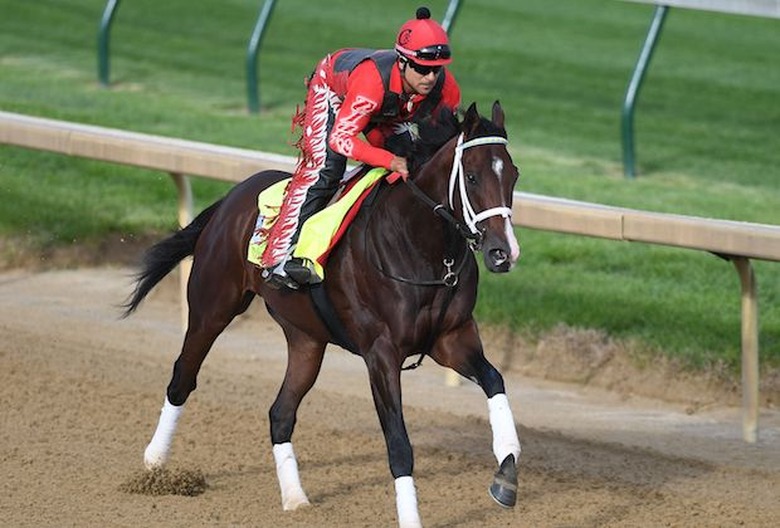 Horse Racing - 03 May 2017