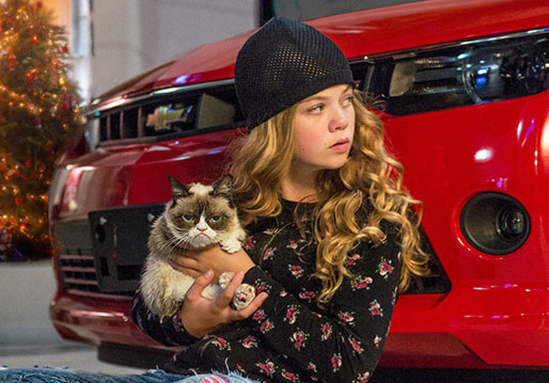 Grumpy Cat Christmas Special