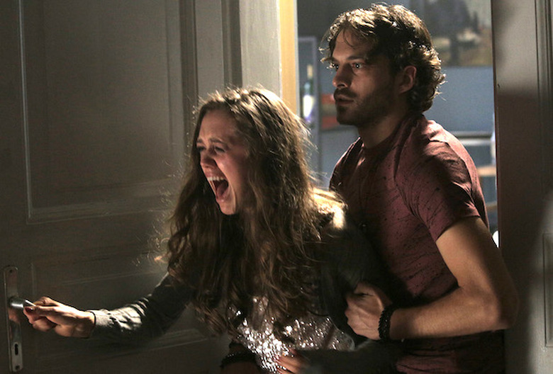 DAISY HEAD, ZACHARY FALL