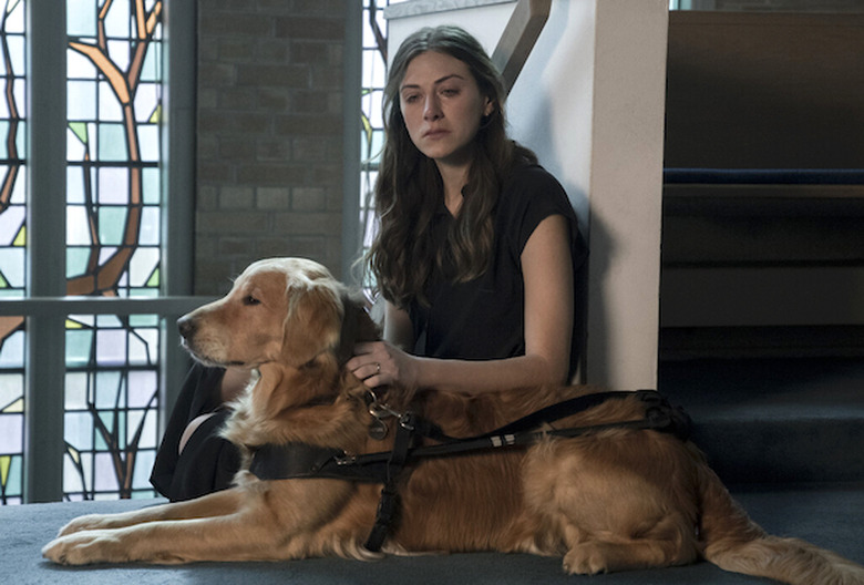 in the dark season 4 episode 13 series finale cancelled watch cw