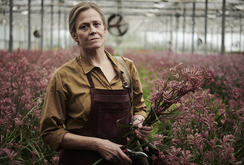 Lost Flowers of Alice Hart