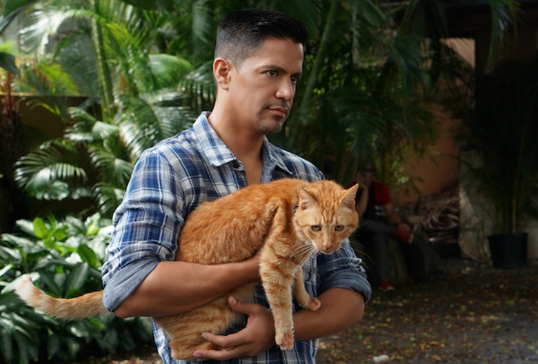 magnum pi cat season 1