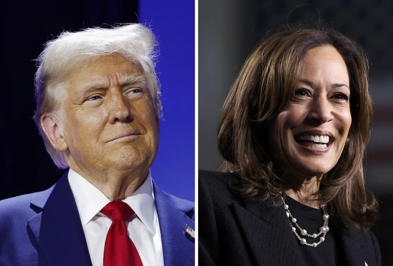 Election Day 2024 - Donald Trump vs. Kamala Harris on TV