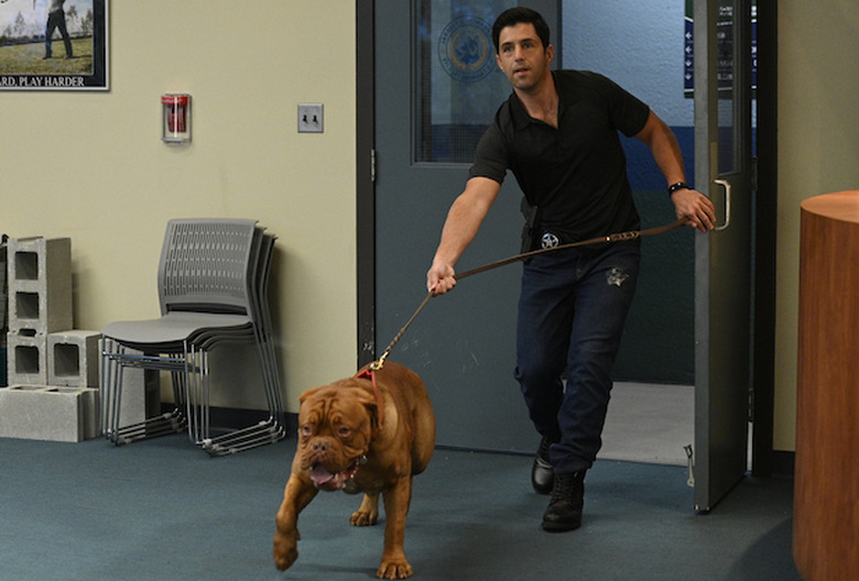 turner and hooch reboot 1x01 disney plus