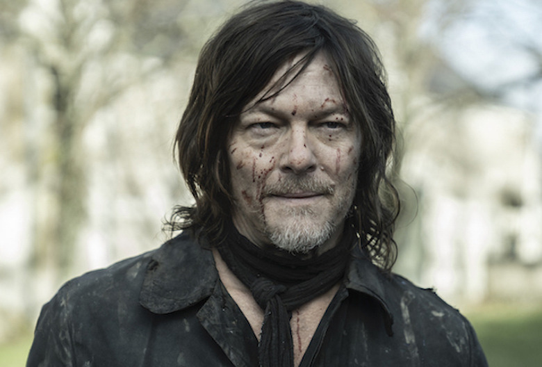 Walking Dead Daryl Dixon