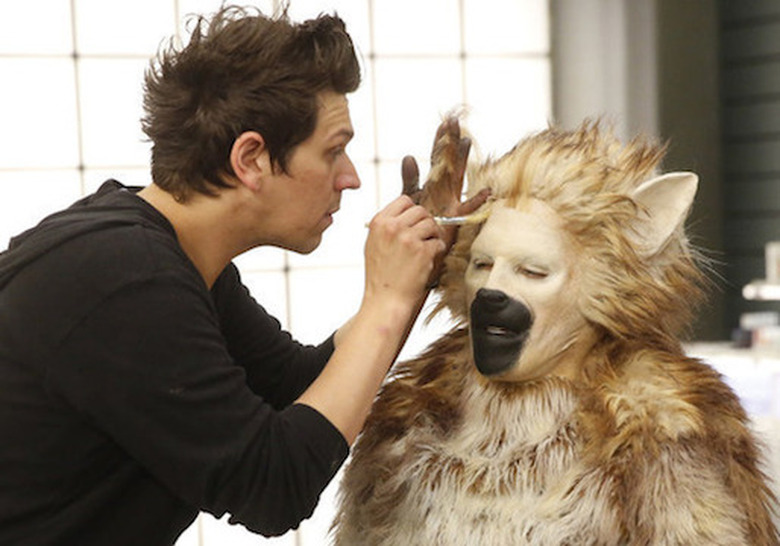 Face Off Animal Hybrids